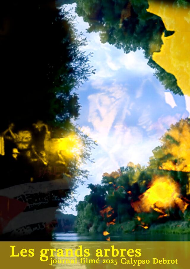 269593-debrot-la-ou-je-dormais-ou-les-journaux-filmes-affiche_les_grands_arbres.jpg