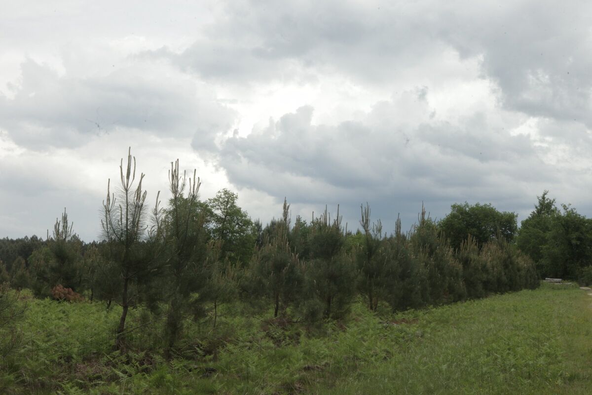 267536-domengie-konopeion-17-img_7678.jpg