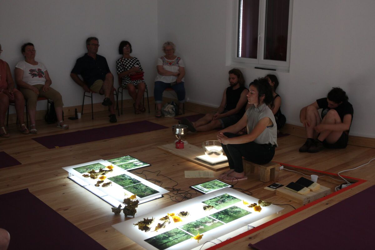 265954-domengie-georgiques-chora-img_3945.jpg