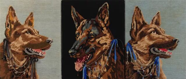 _Disparition Dog / Proliferation Dog_