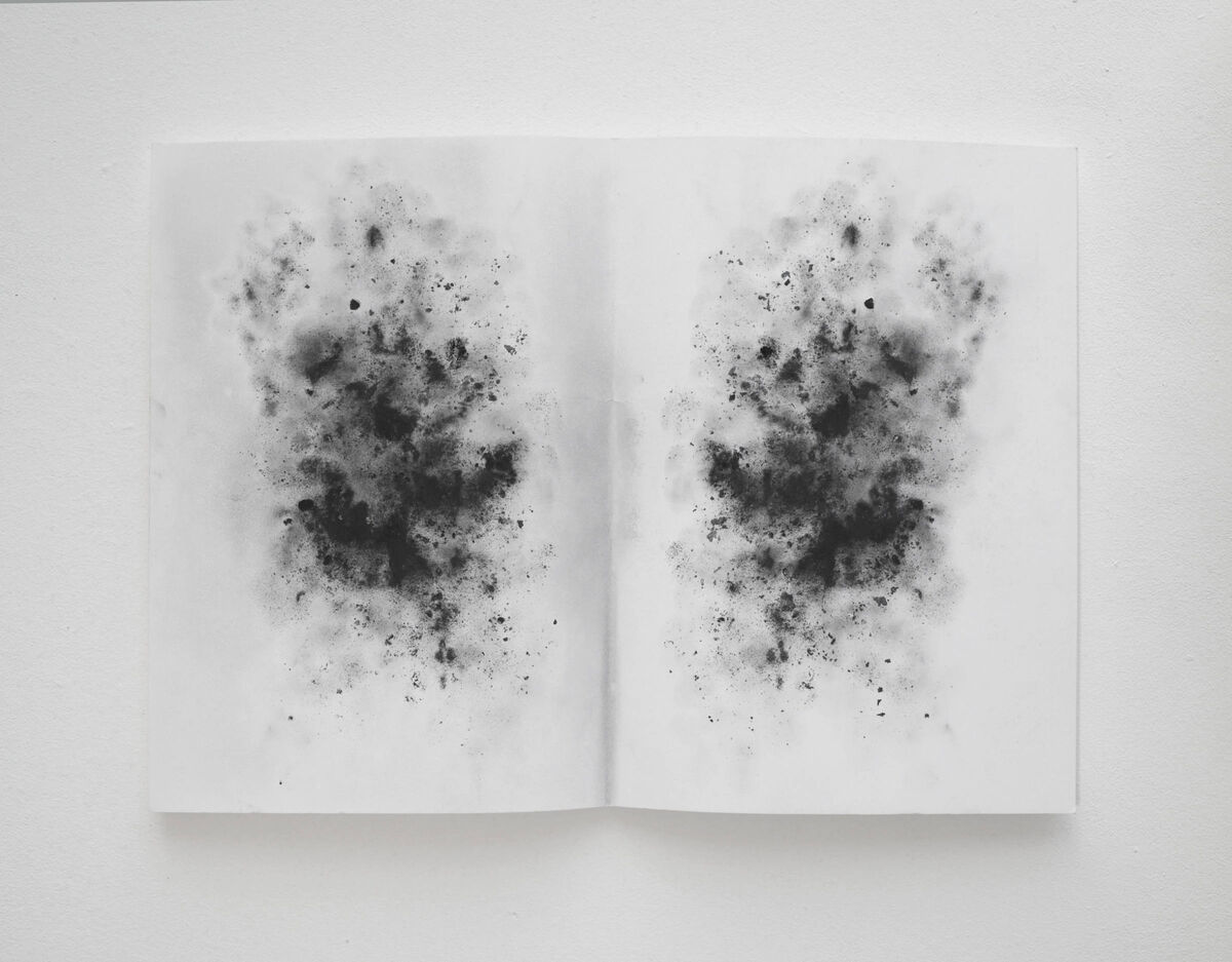 243347-clottes_limaillesetcalamine_estampes07.jpg