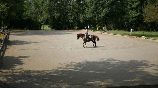 _La lune des poneys_