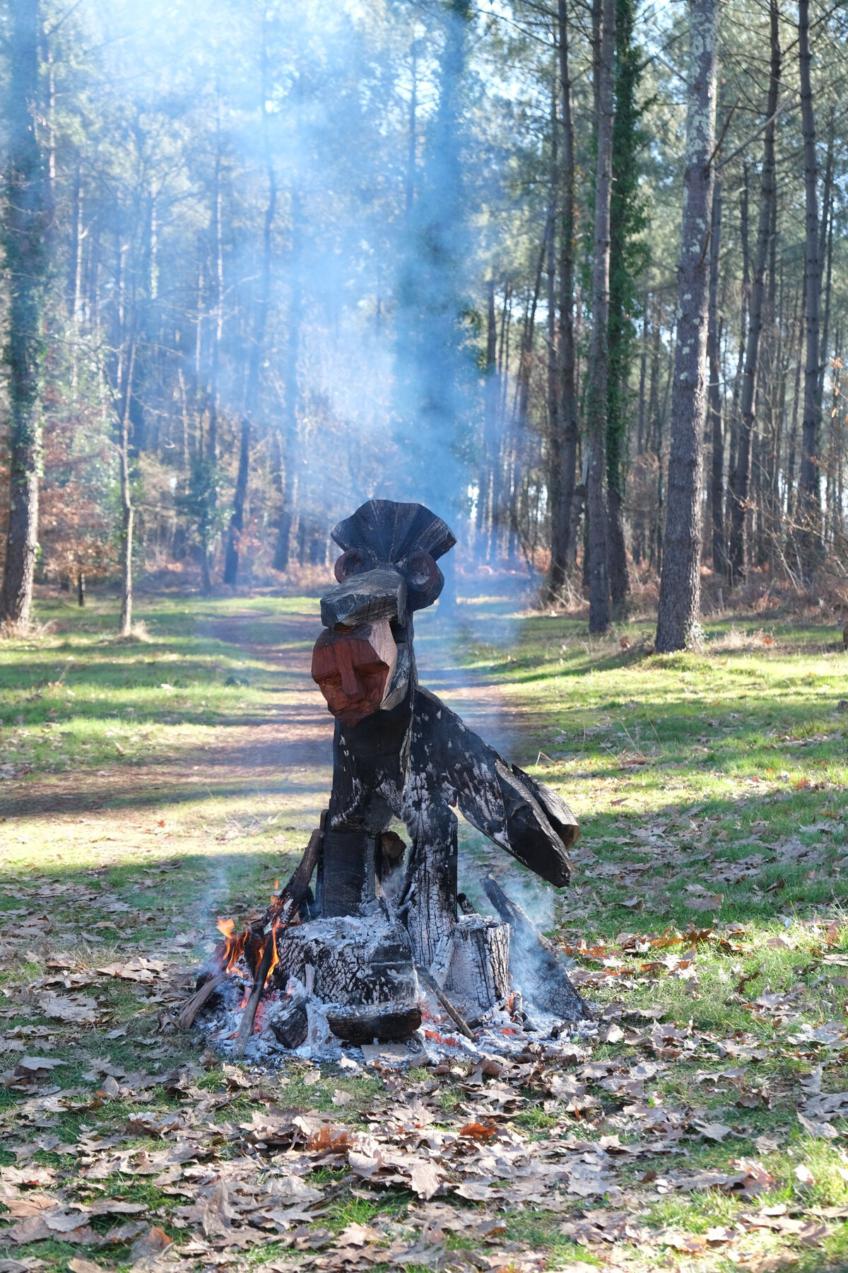 265464-doucet-l-oiseau-phenix-2023-dscf4046.jpg