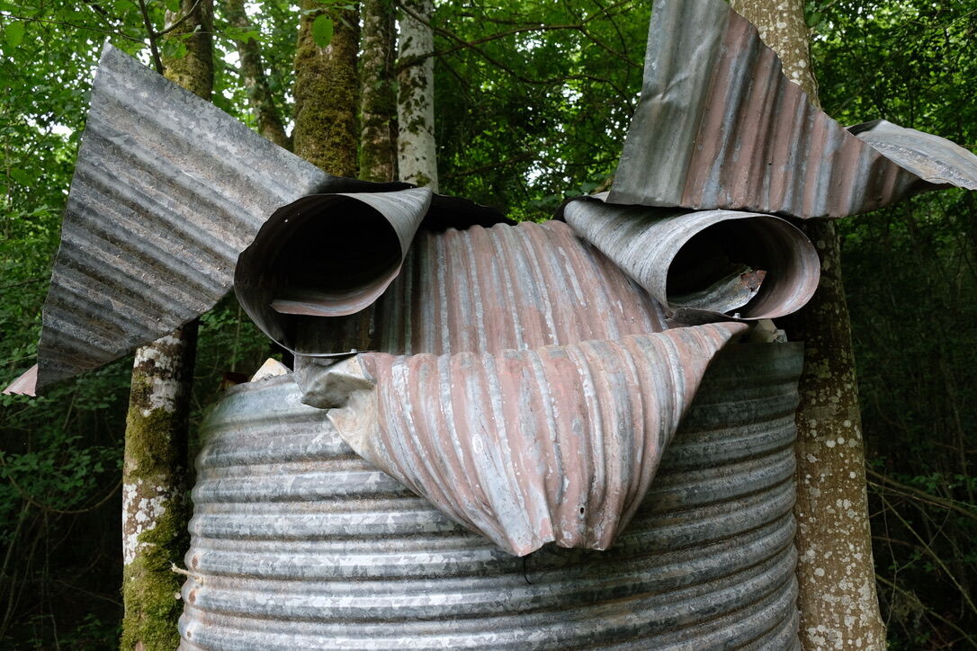 265678-doucet-oiseaux-vent-des-forets-2019-50b3aaa7-fee4-43cb-932f-134cd3bbf38b_1_105_c.jpg