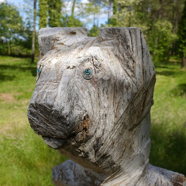 265334-doucet-ours-ourse-blanche-dscf0654.jpg