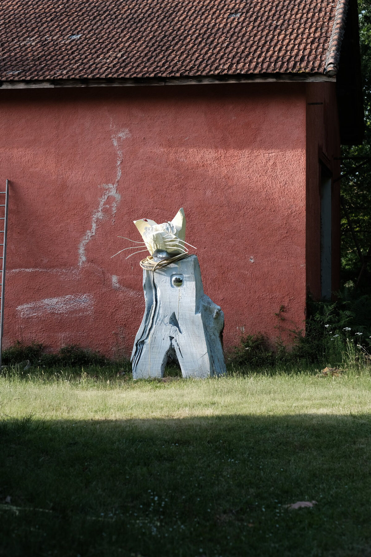 265493-doucet-chat-dscf4158.jpg