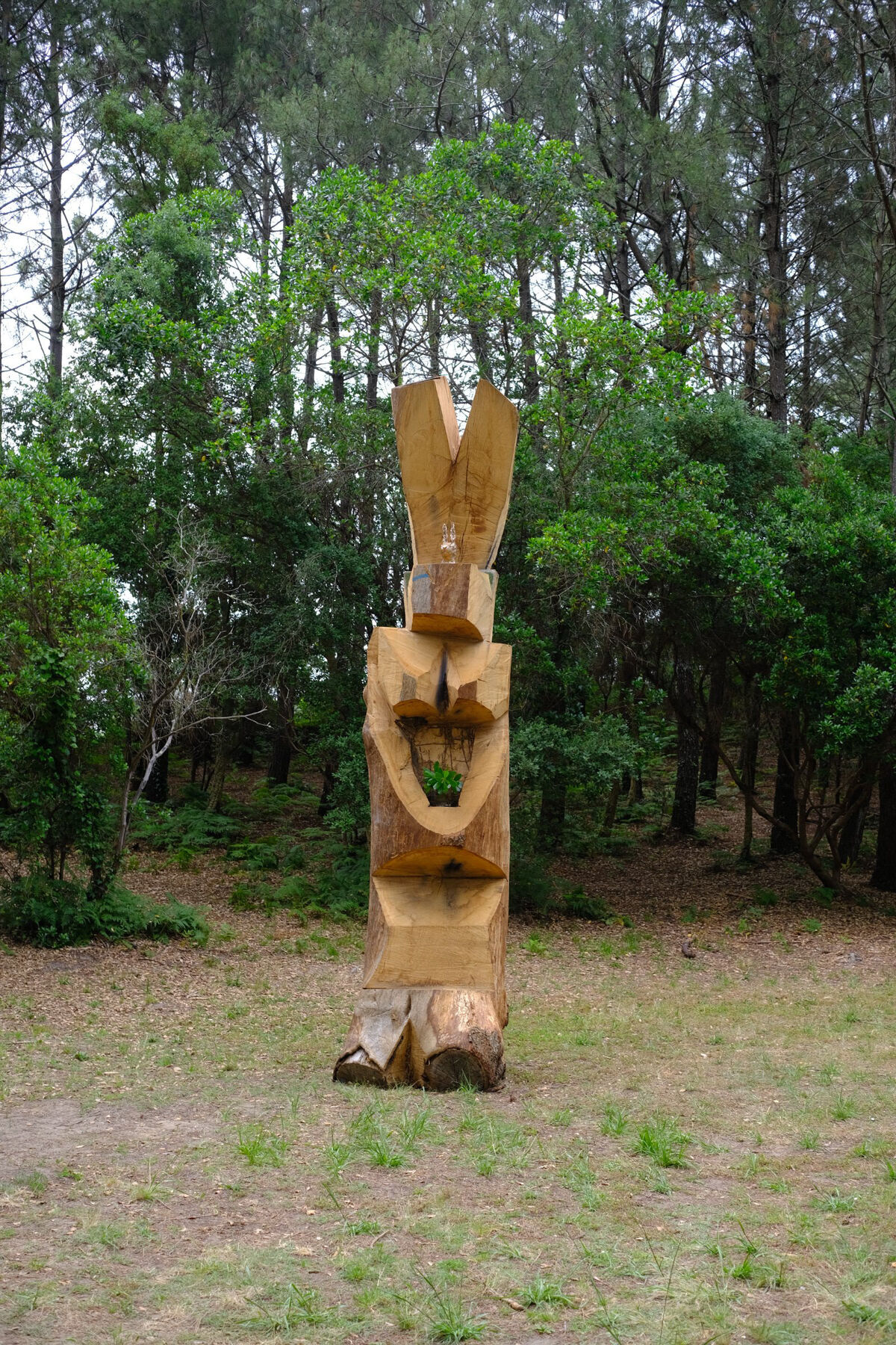 265488-doucet-lapin-2023-dscf0874.jpg