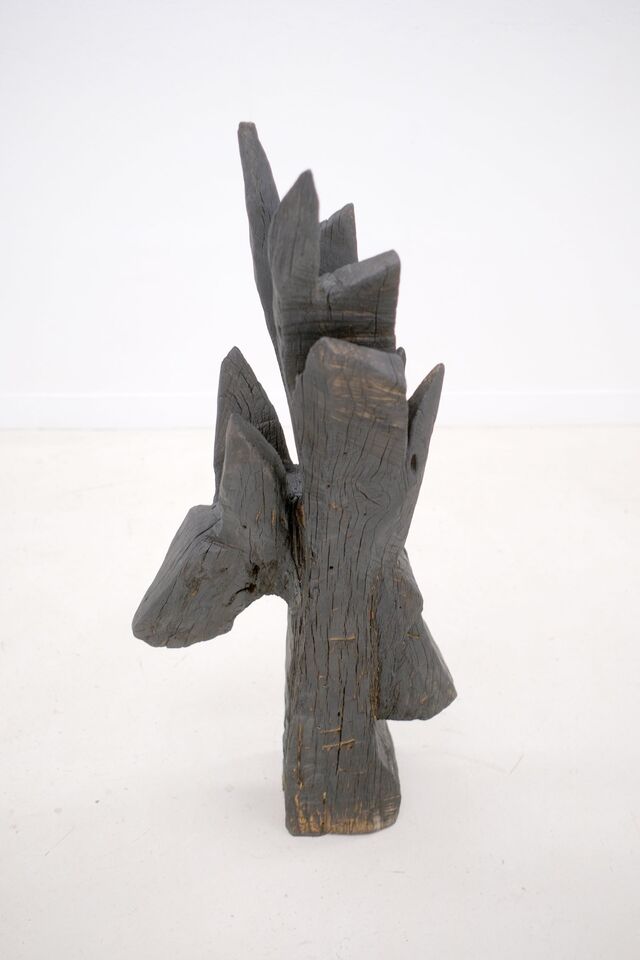 _Janus_