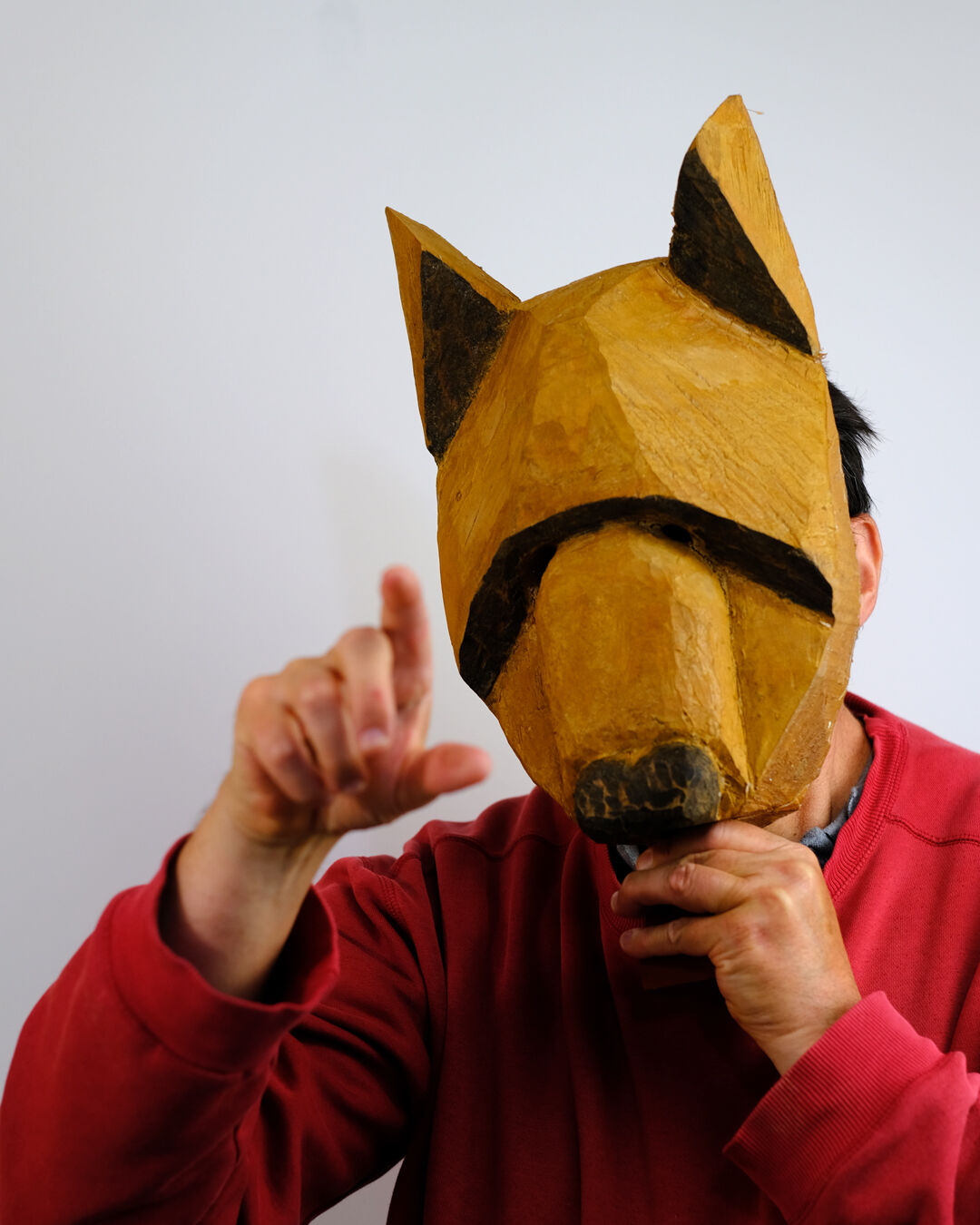265342-doucet-les_masques-2021-fox2.jpg