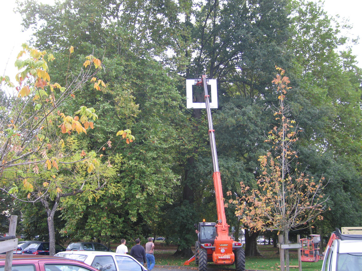 267295-doucet-signe-2005-img_0788.jpg