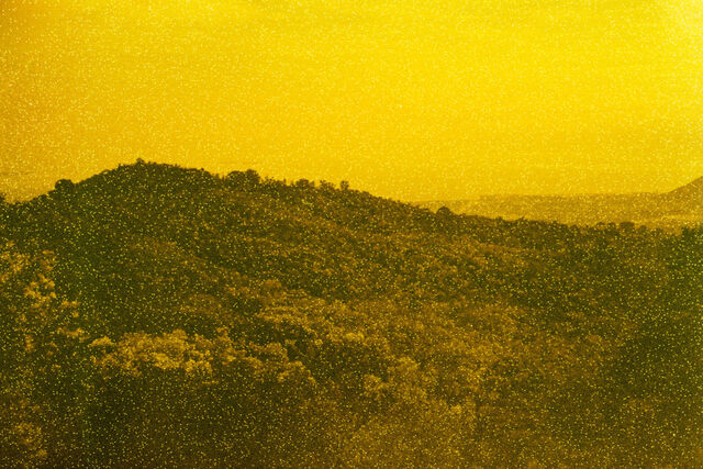 268485-chichin-des-precipites-2025_despre_cipite_s_0134.jpg