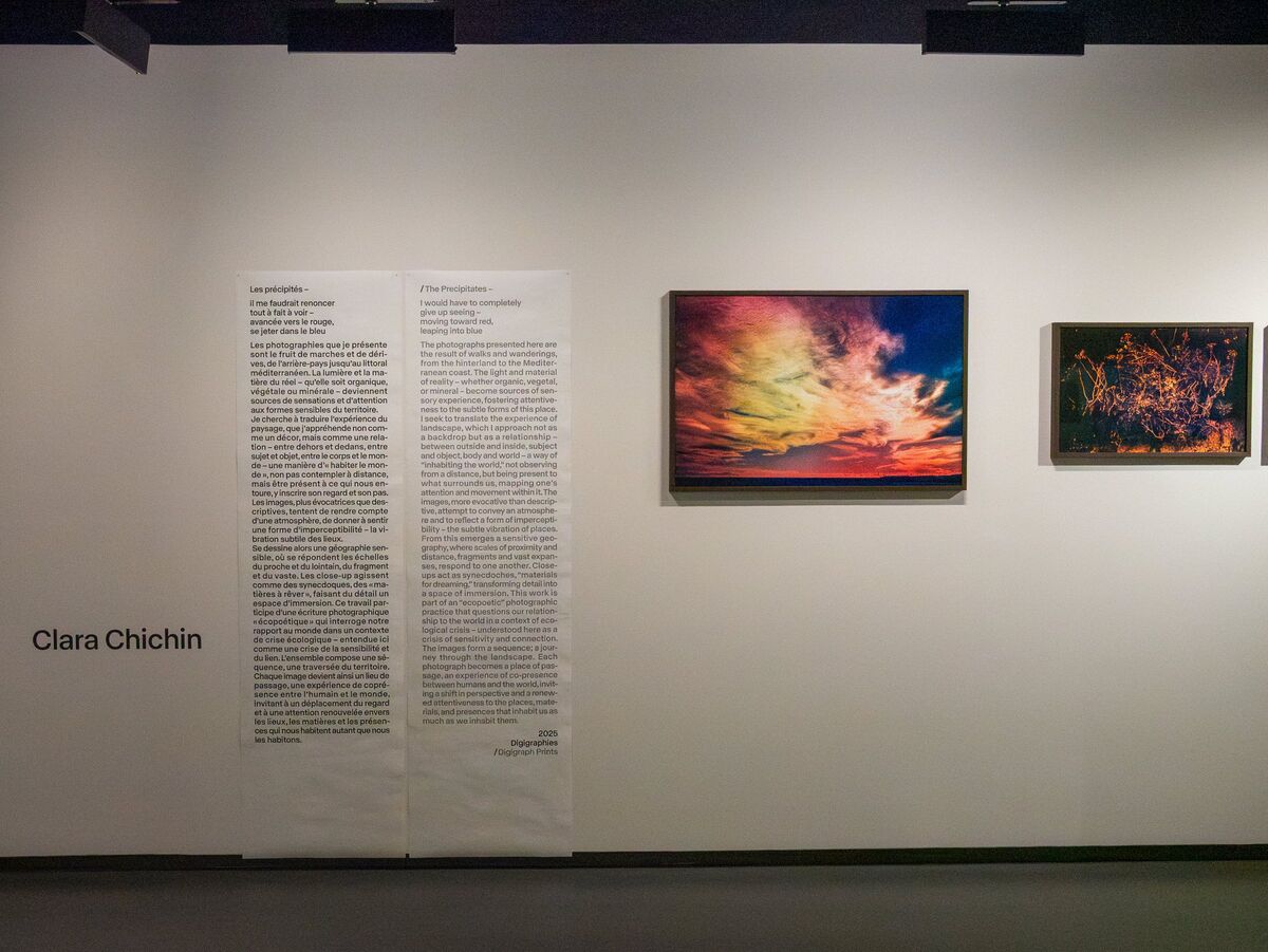 268513-chichin-des-precipites-expo-2025_despre_cipite_s_mougins_23.jpg