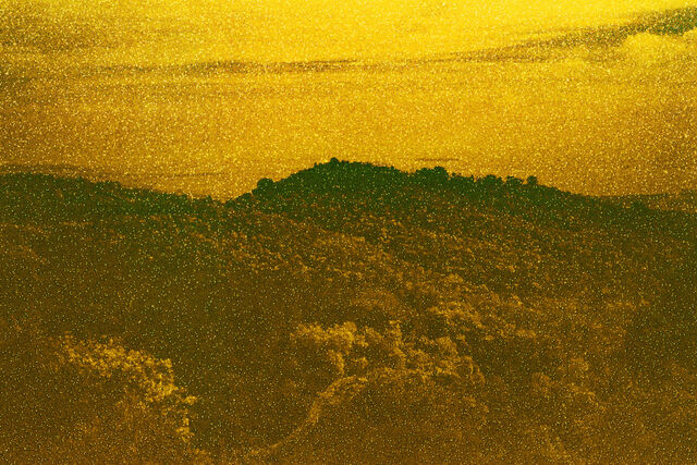 268484-chichin-des-precipites-2025_despre_cipite_s_0133.jpg