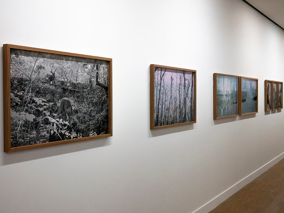 268814-chichin-le-dos-des-arbres-expo-mulhouse--010_2026_paysagesenrelation_ledosdesarbres_lafilature_mulhouse.jpg