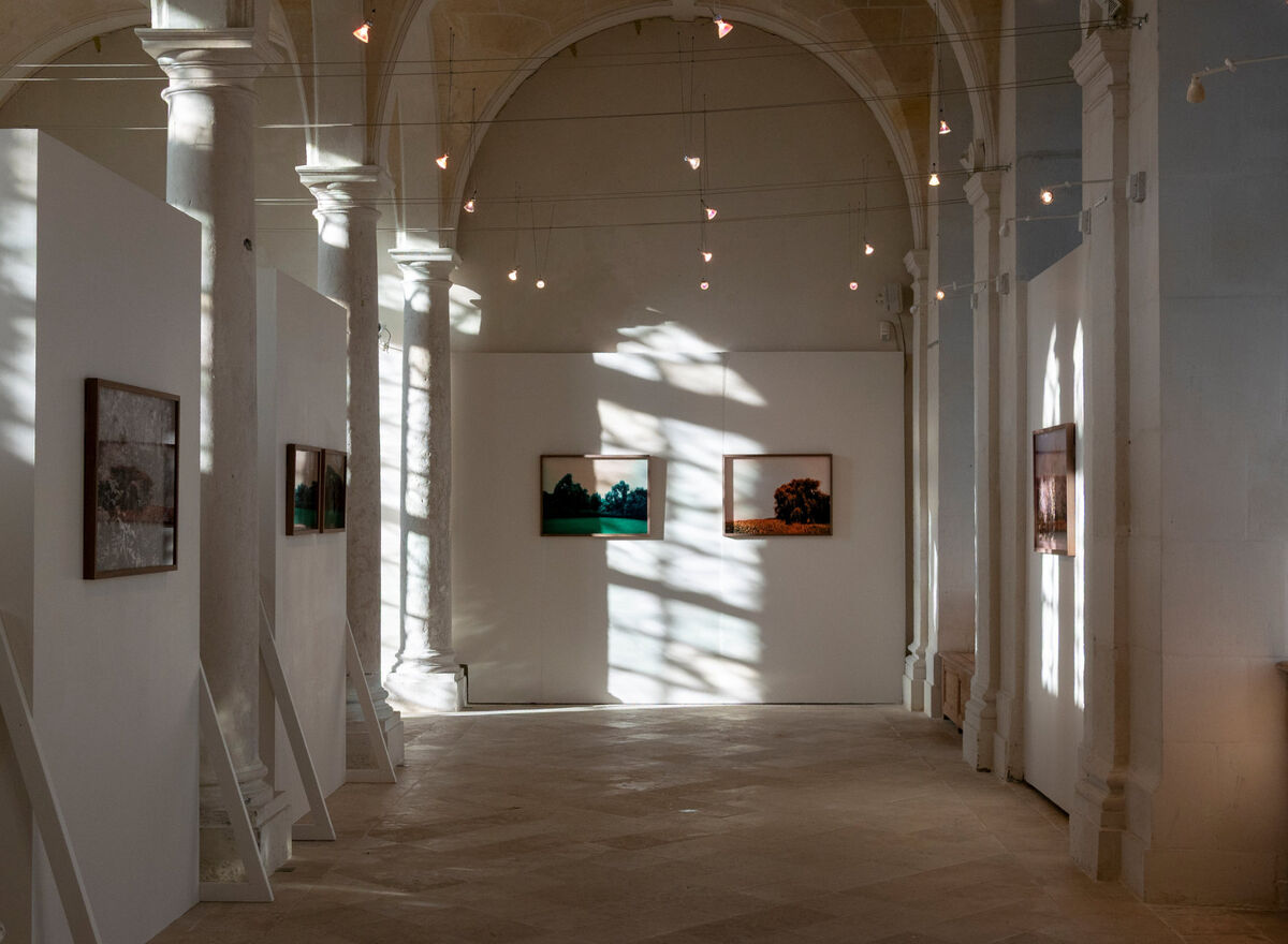 268383-chichin-le-dos-des-arbres-2018_ledosdesarbres_abbaye_saint_georges_de_boscherville_01.jpg