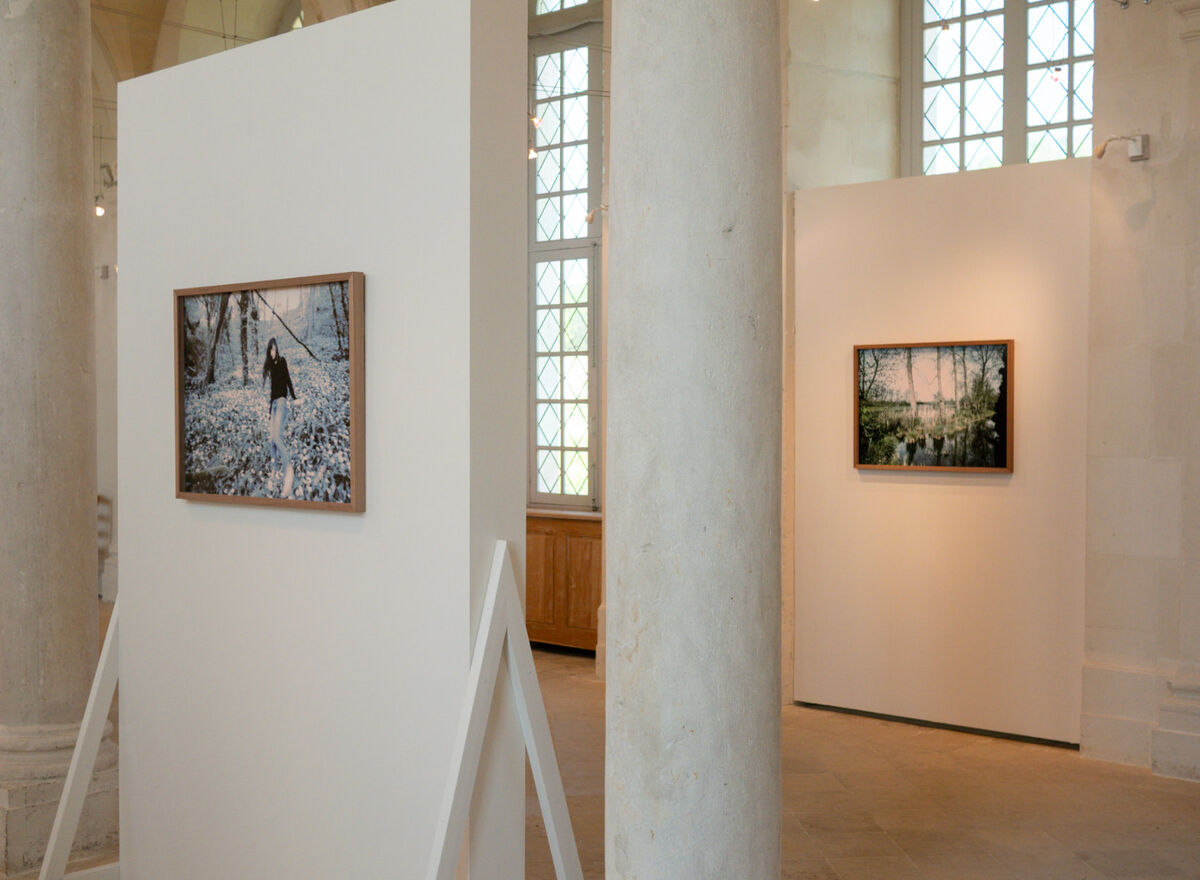 268386-chichin-le-dos-des-arbres-2018_ledosdesarbres_abbaye_saint_georges_de_boscherville_35.jpg