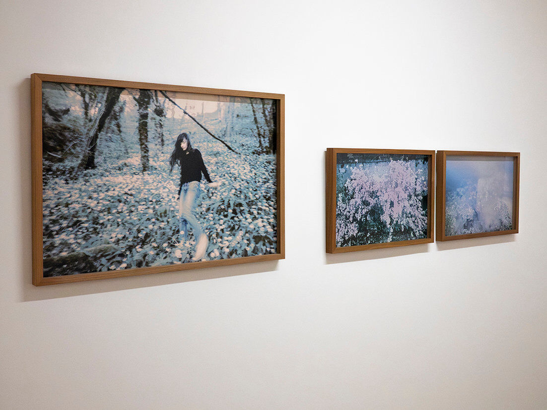 268812-chichin-le-dos-des-arbres-expo-mulhouse--006_2026_paysagesenrelation_ledosdesarbres_lafilature_mulhouse.jpg