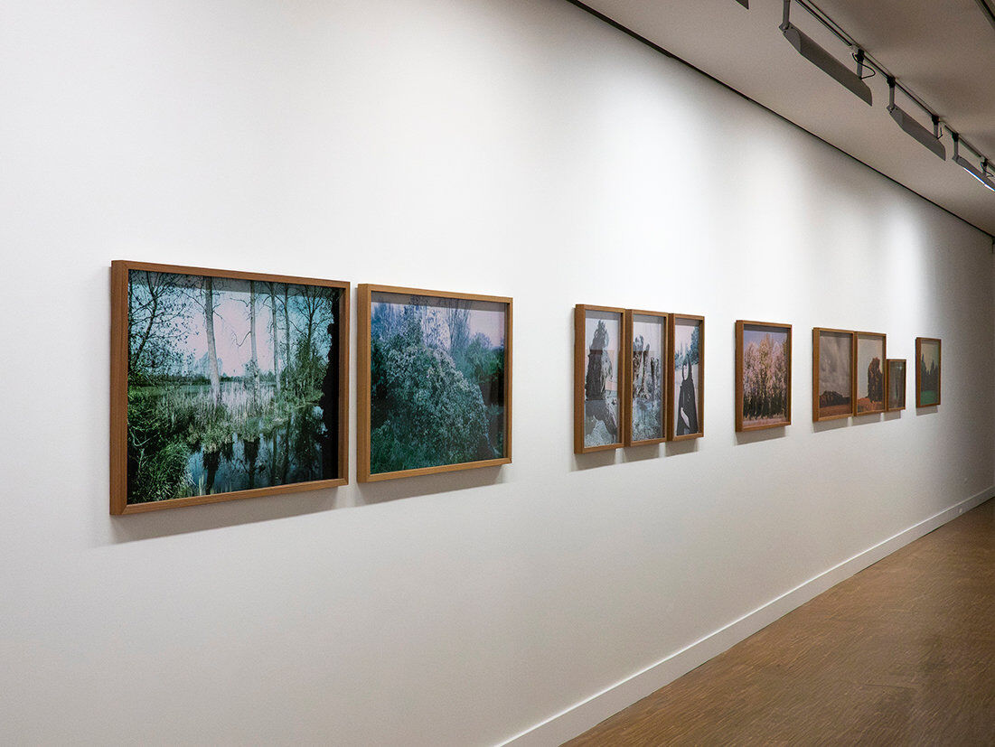 268815-chichin-le-dos-des-arbres-expo-mulhouse--012_2026_paysagesenrelation_ledosdesarbres_lafilature_mulhouse.jpg