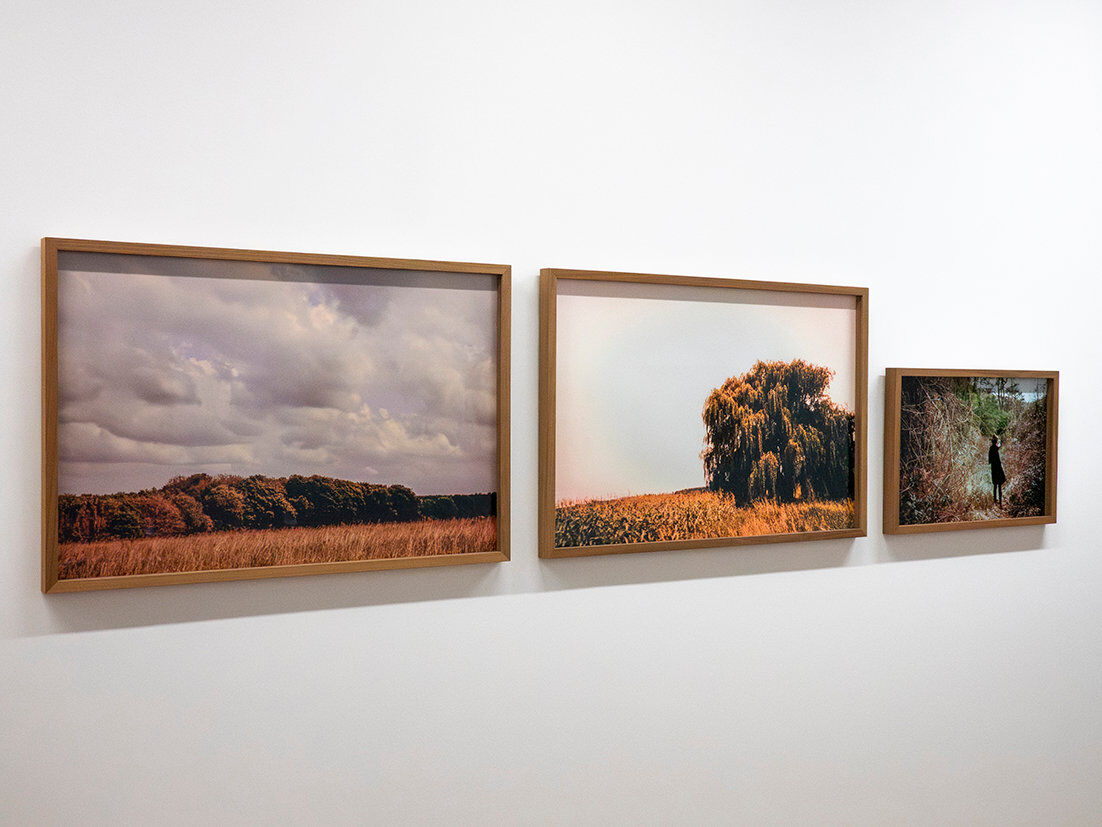 268816-chichin-le-dos-des-arbres-expo-mulhouse--013_2026_paysagesenrelation_ledosdesarbres_lafilature_mulhouse.jpg