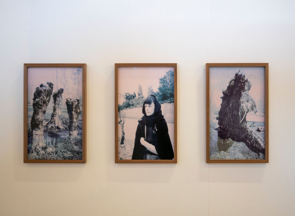 268380-chichin-le-dos-des-arbres-2018_ledosdesarbres_promenades_photographiques_vendome_05.jpg