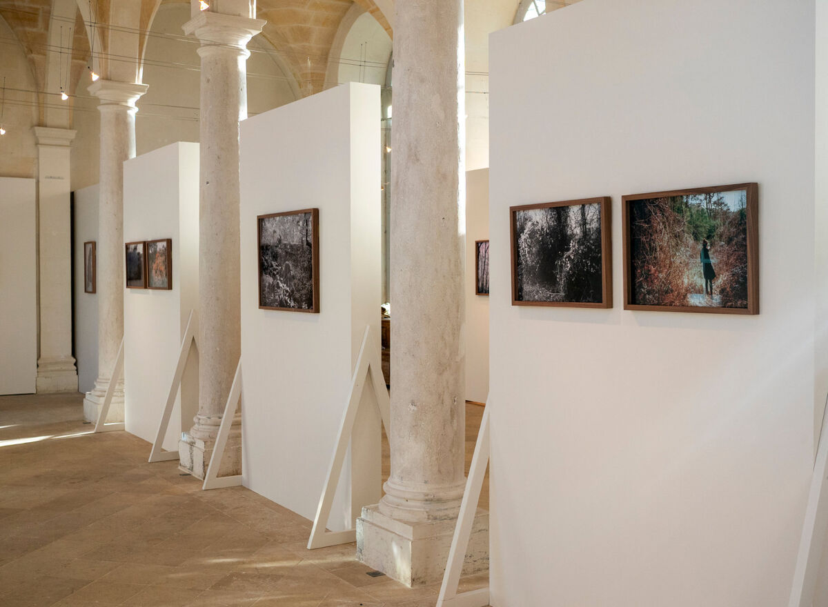268382-chichin-le-dos-des-arbres-2018_ledosdesarbres_abbaye_saint_georges_de_boscherville_04.jpg