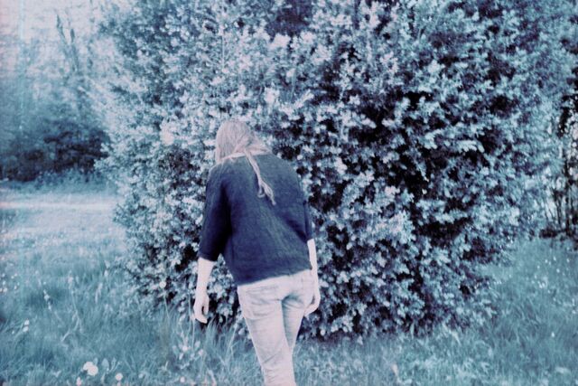 _Le dos des arbres_