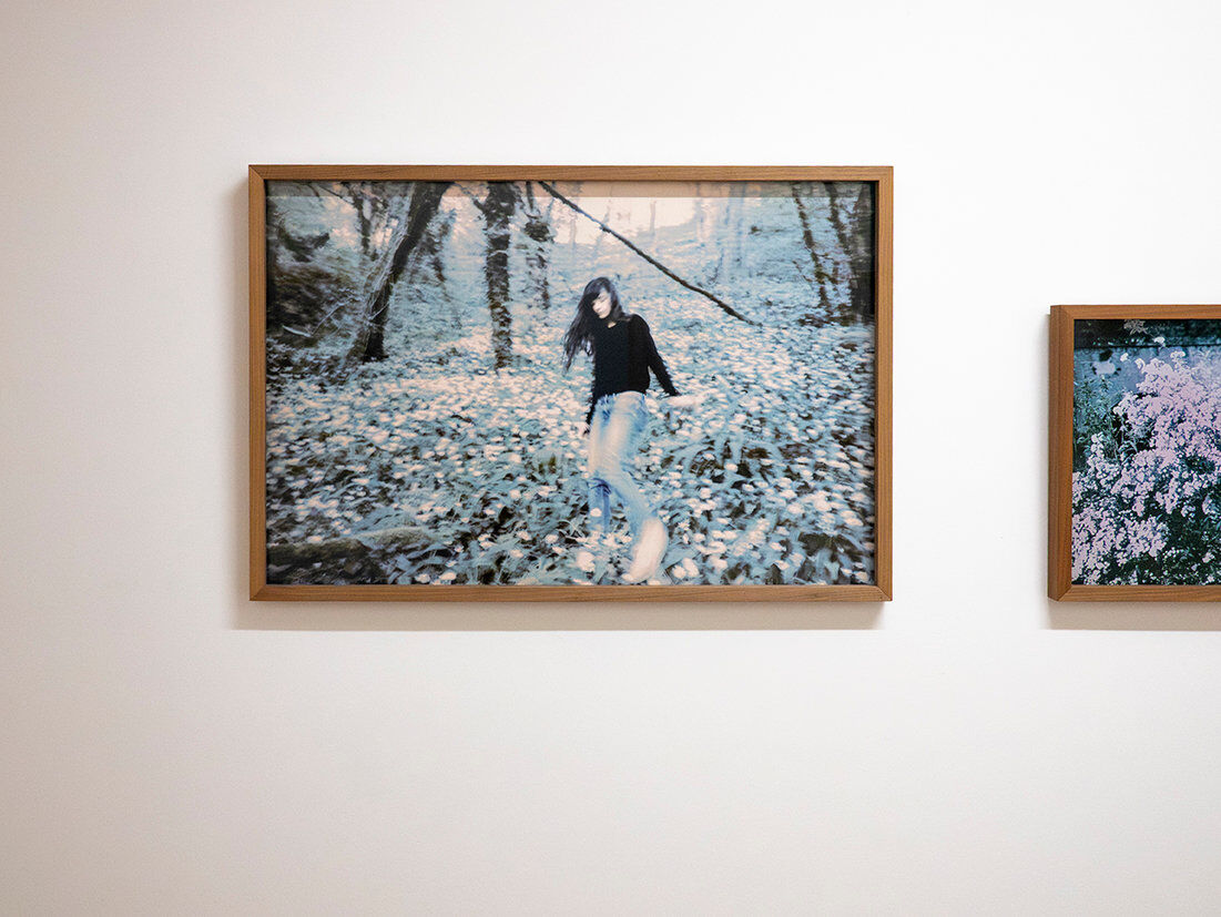 268813-chichin-le-dos-des-arbres-expo-mulhouse--008_2026_paysagesenrelation_ledosdesarbres_lafilature_mulhouse.jpg