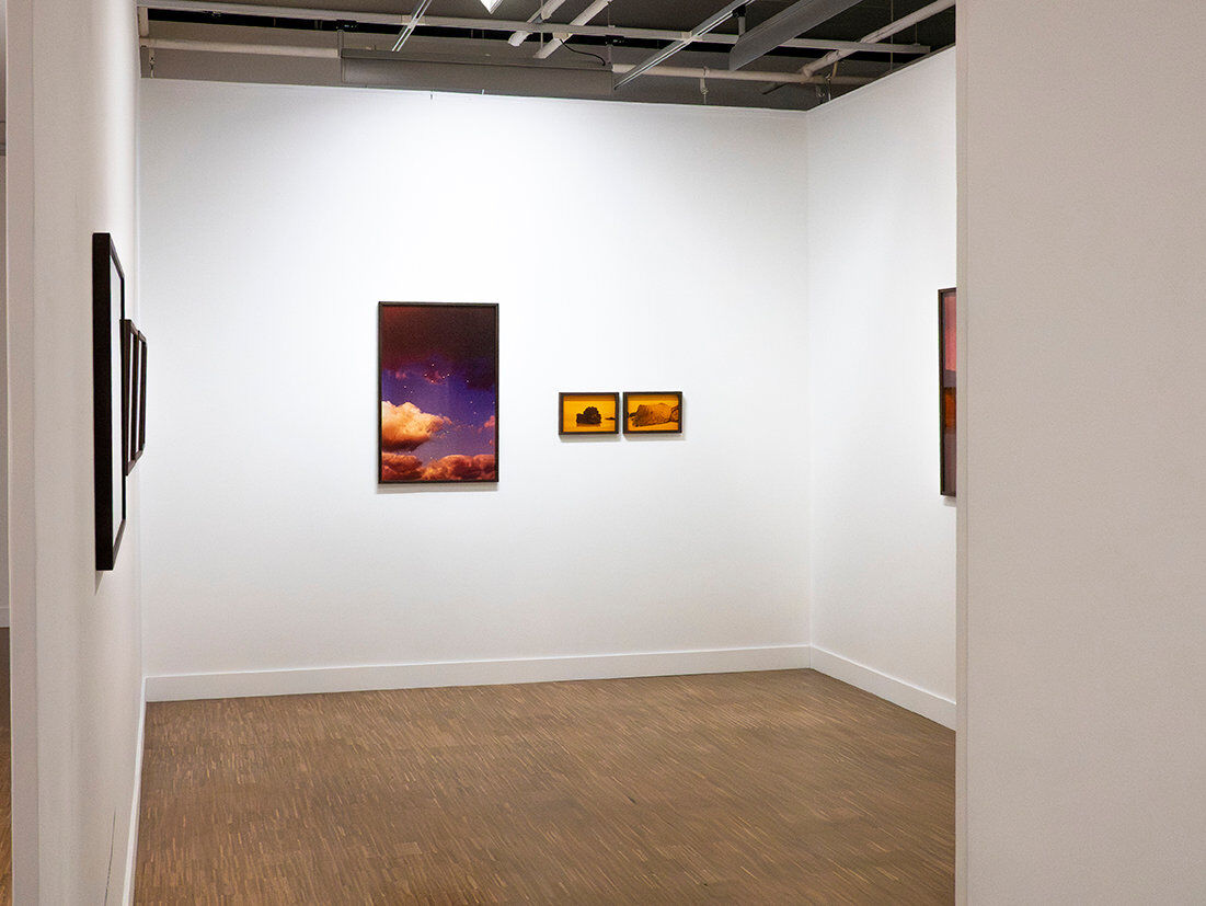 268834-chichin-ses-disparitions-successives-expo-mulhouse-039_2026_paysagesenrelation_sesdisparitionssuccessives_lafilature_mulhouse.jpg