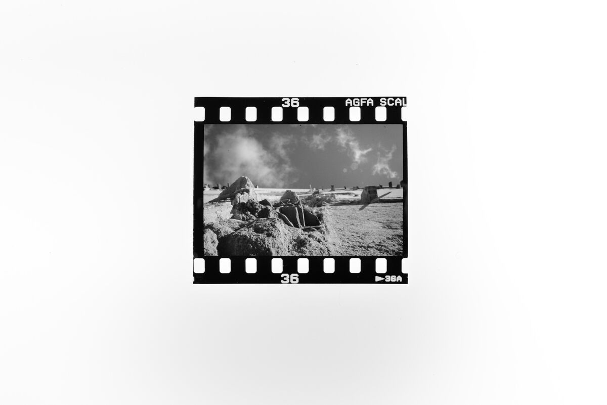 237607-falco_facade_140_0504.jpg
