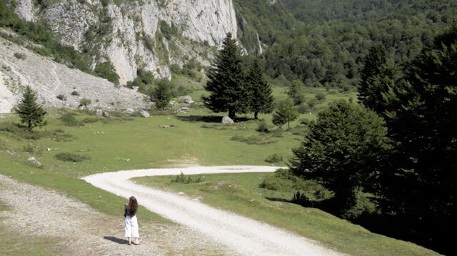 Séries vidéographiques