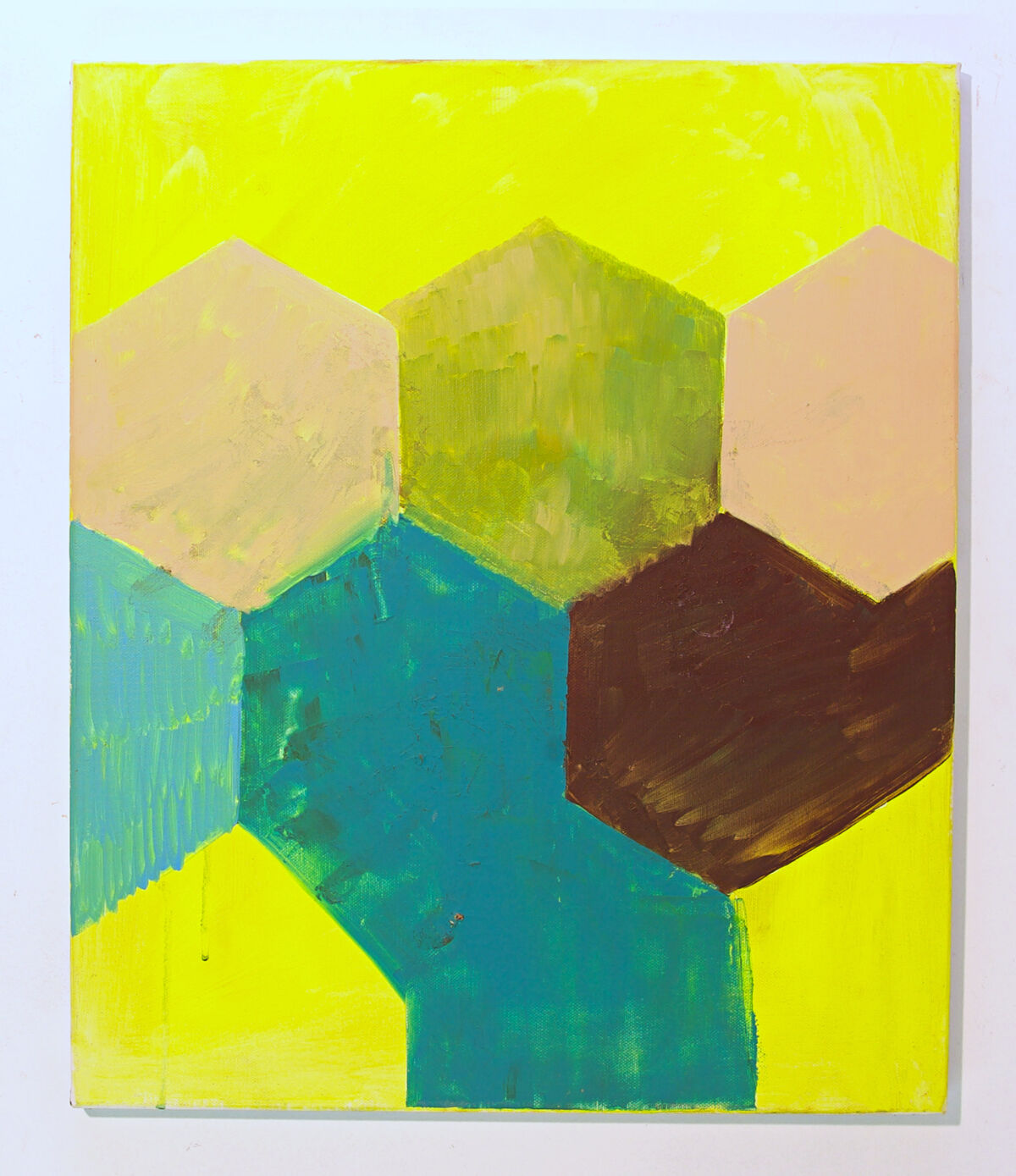 239217-ballange_hexagones_acryliques_20-_60_x_50_cm_2013.jpg