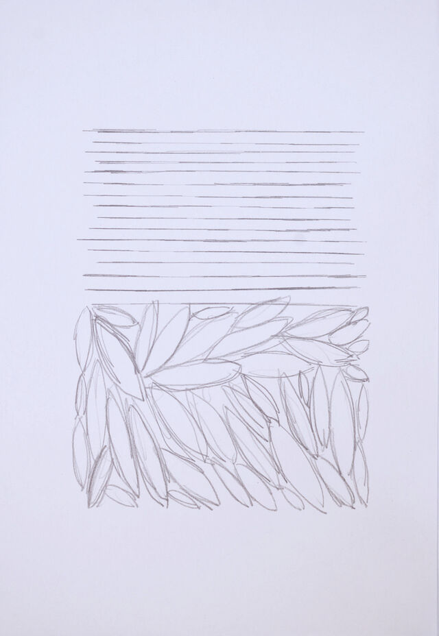 Dessins, 2019