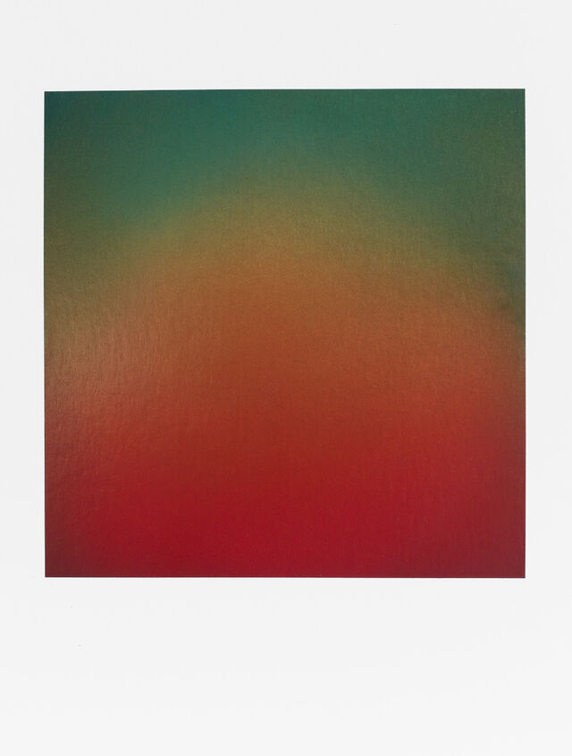 242192-diffuse-rouge-sinople-40x30-2023.jpg