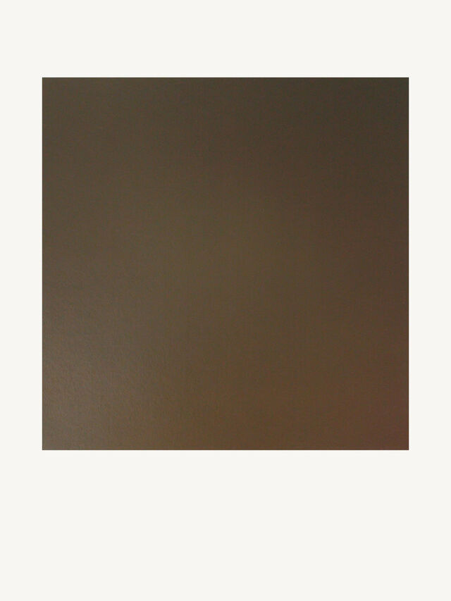 231117-e-leblanc_diffuse-gris-sepia-2019.jpg
