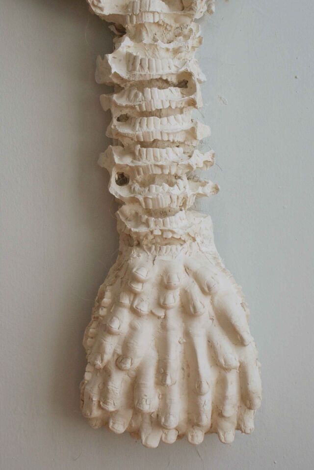_Flower Spine_