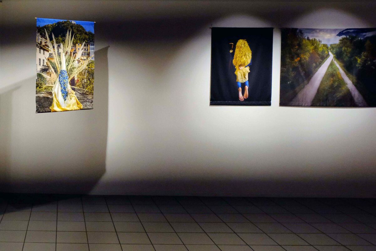 267265-sanchez-le-rappel-des-oiseaux-02_expo-maisonvisinand.jpg