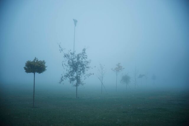 _Obnubilare_