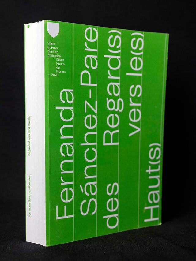 267019-sanchez-paredes-regard-vers-le-haut-livre-rvlh-04.jpg