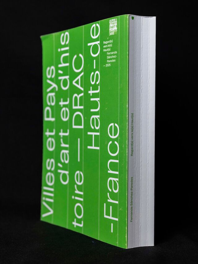 267017-sanchez-paredes-regard-vers-le-haut-livre-rvlh-05.jpg