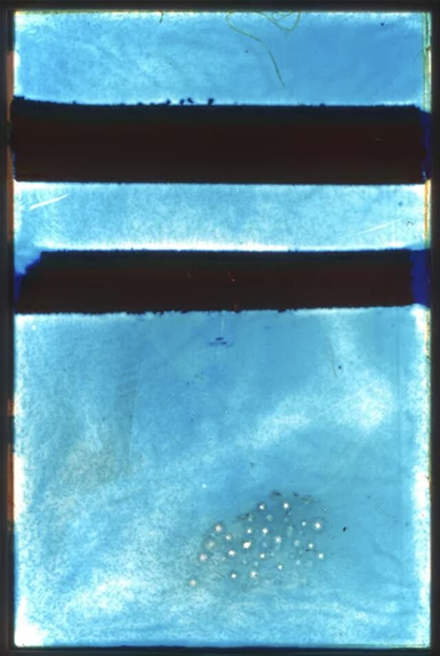 Scénographies
