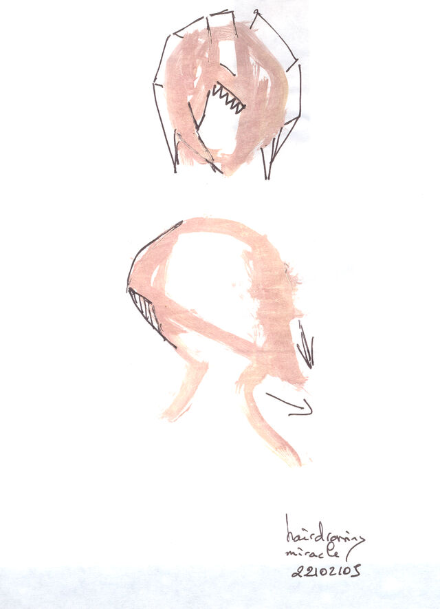 224440-hairdressing_miracle_1.jpg