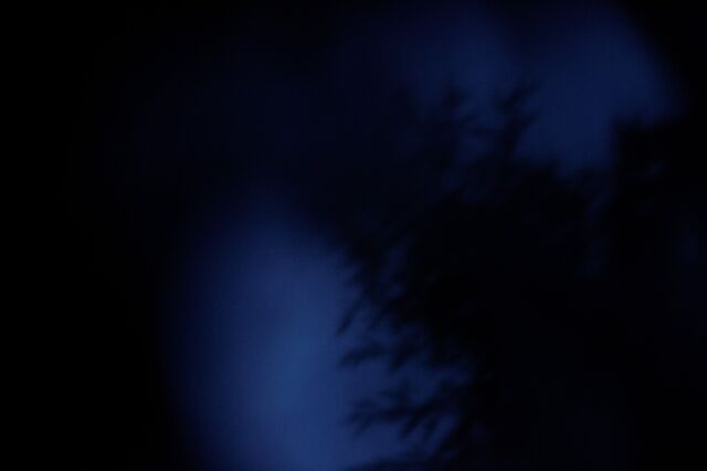 224351-ste_nope_nume_rique_11_2012_2_.jpg