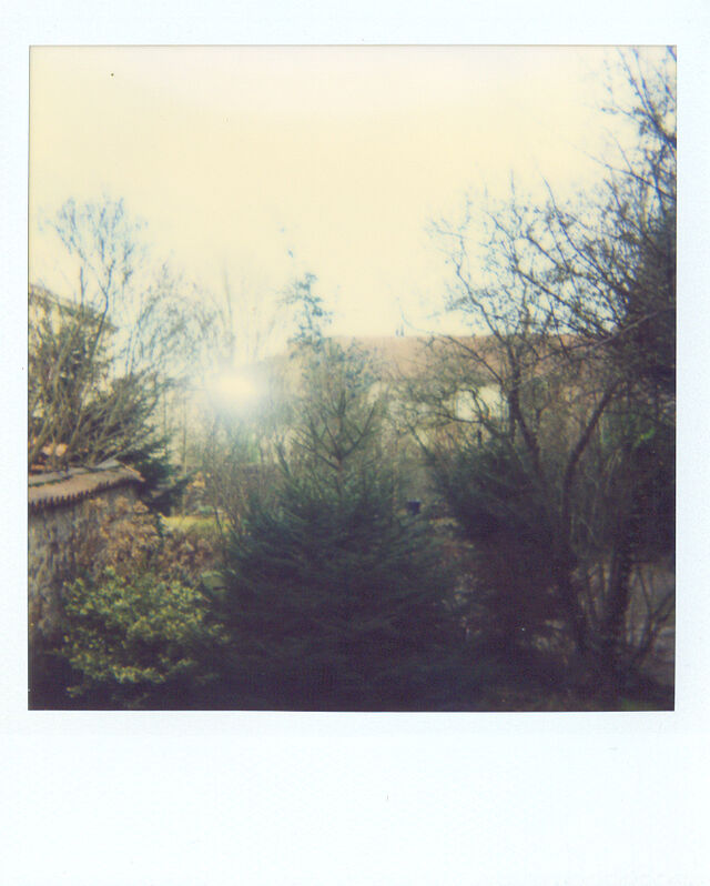 250468-polaroid_7_5x7_5cm_2001-2.jpg
