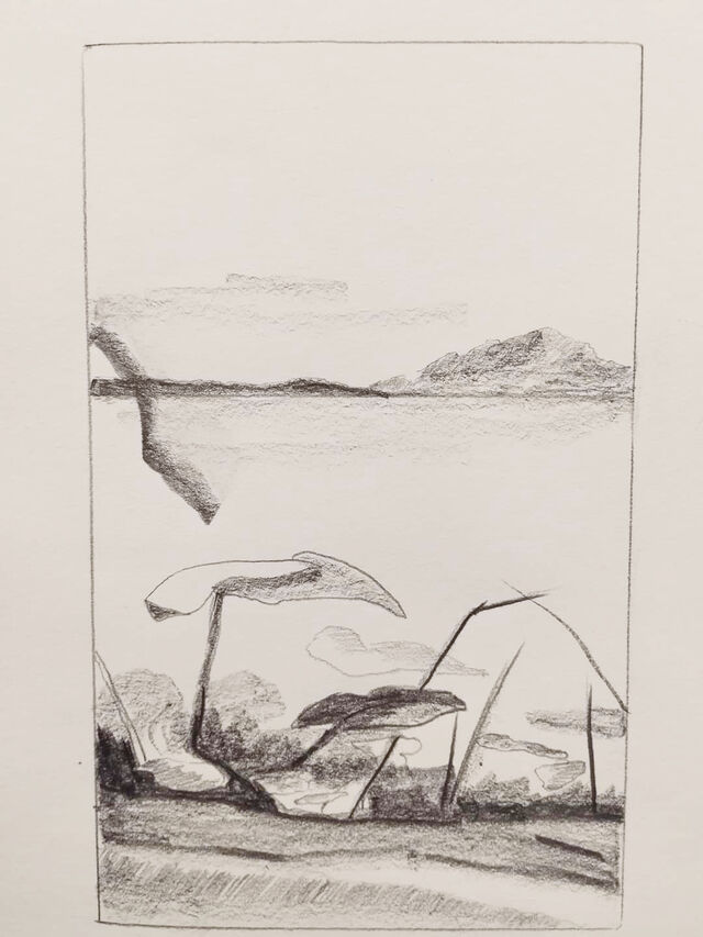 251496-contin-roux-juan-graphite_sur_papier_format_a4_2024_1_.jpg