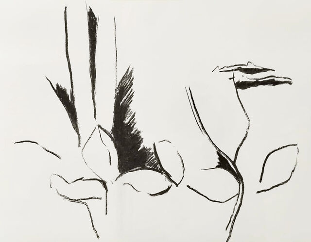 Dessins