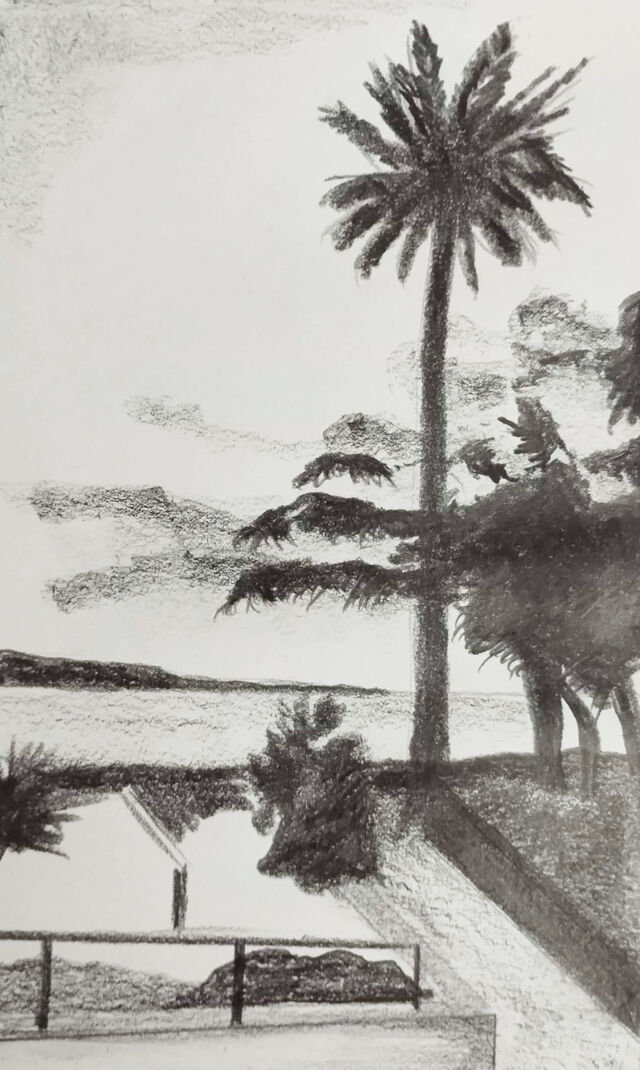 251497-contin-roux-juan-graphite_sur_papier_format_a4_2024_2_.jpg