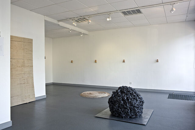 250367-de-la-salle-cosmos-vue_d_ensemble3.jpg