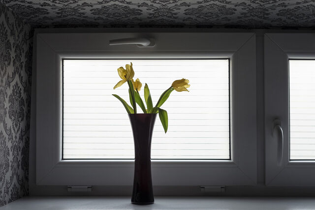 _Arrangements_