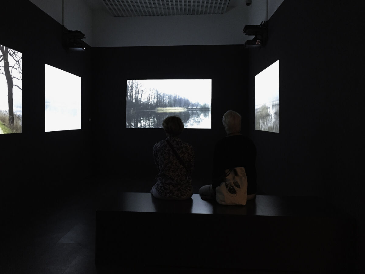 241791-bretin_je-suis-morte-a-auschwitz_expo_perigueux_2016esp_f_mitterrand_5re_sonances_.jpg