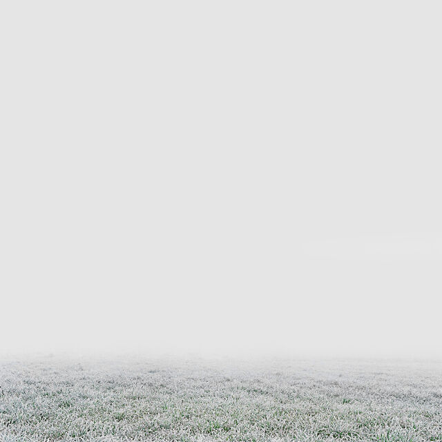 Surface